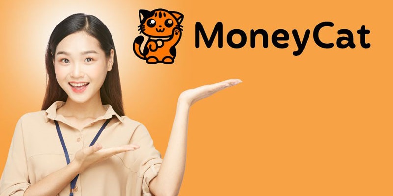 moneycat_2